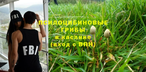 мет Новодвинск