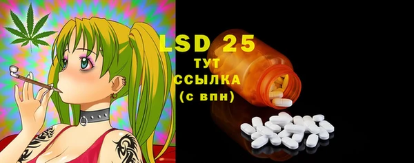 spice Новозыбков