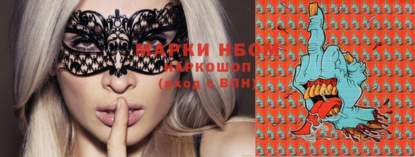 spice Новозыбков