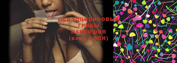 spice Новозыбков