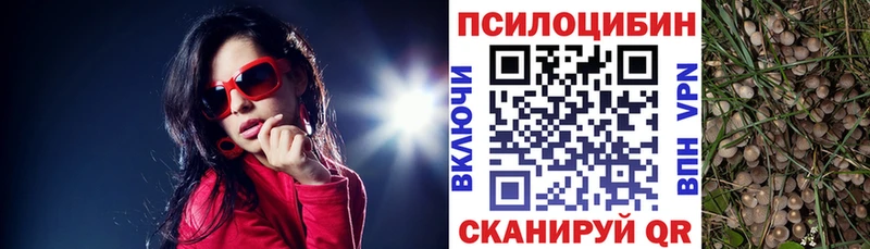mega онион  купить  цена  Вологда  Псилоцибиновые грибы мухоморы 
